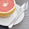 TrueCraftware- Set of 12 Stainless Steel Grapefruit Spoon with Serrated