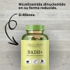 Nadh Suplemento Energía Celular 120 Cápsulas Regenerador