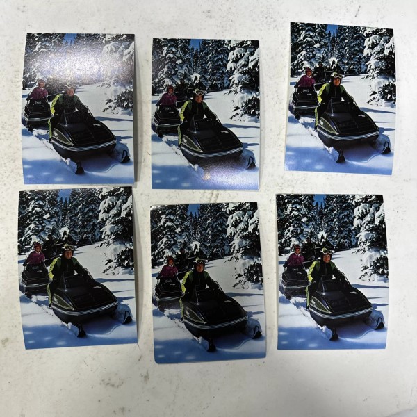 Vintage Arctic Cat Post Cards, Set Of 6