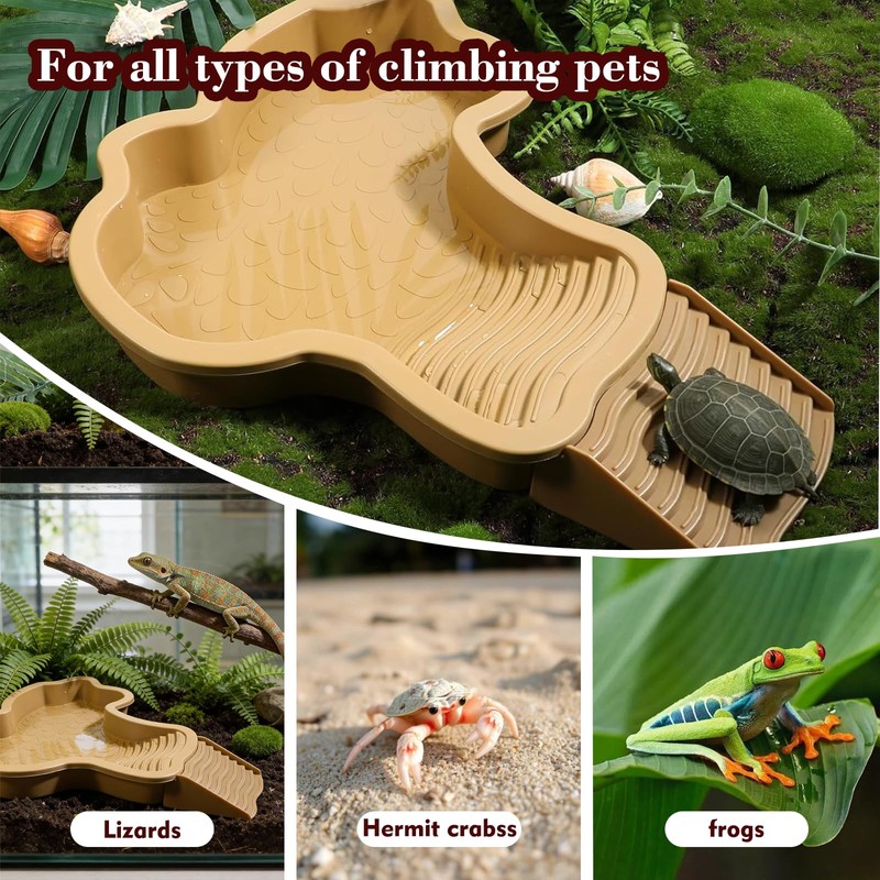 Large Turtle Bathing Pool with External Ramp - 11.2"x13.8"x1.7" Dual