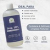Shampoo de Urea Hidrata y Repara Productos Mart Mexico 500