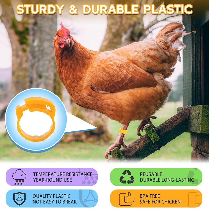 GGUFAY Pack of 100 Poultry Bands, Adjustable Chicken Rings, Plastic
