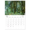 Wonderful World - Forests (Monthly Wall Calendar 2026 16.5" x