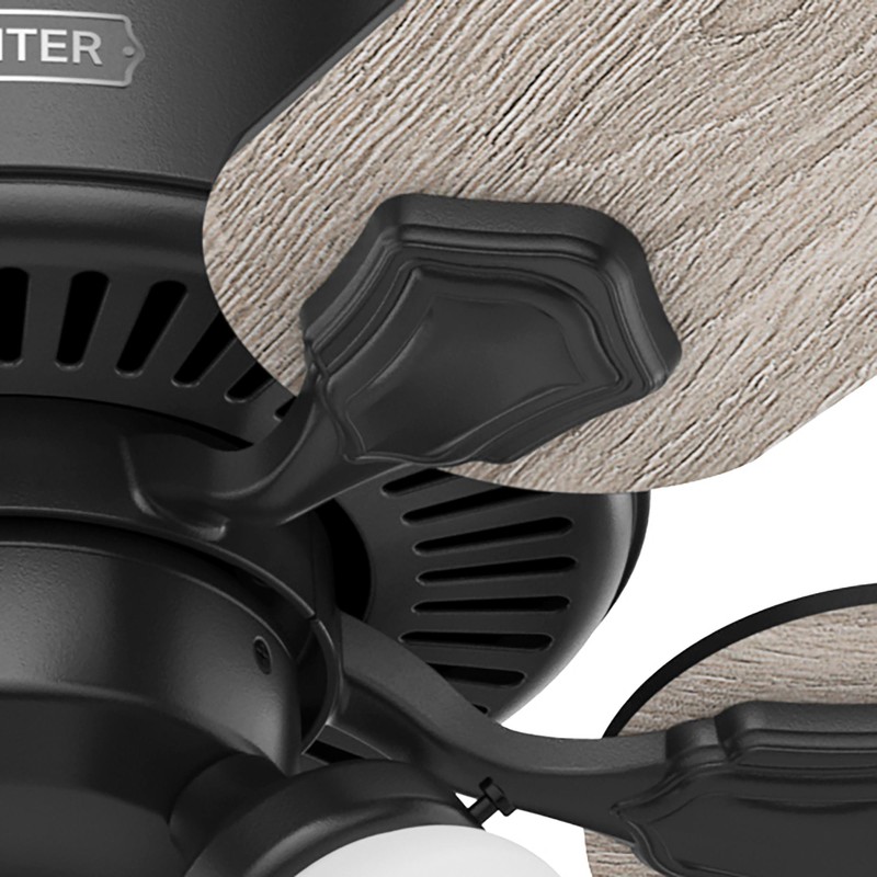 Hunter Fan Company 51737 Swanson Ceiling Fan, Matte Black