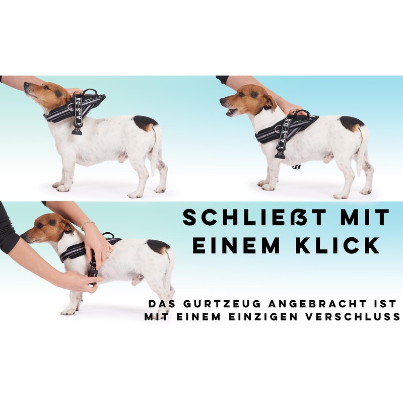 Dog Harness with 3 Metal Ring Anchors for Attaching to