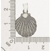 AFP AS-841 Women's Pendant Shell Maritime 925 Sterling Silver, Sterling