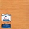 Thompson’s WaterSeal Transparent Waterproofing Wood Stain and Sealer, Natural Cedar,