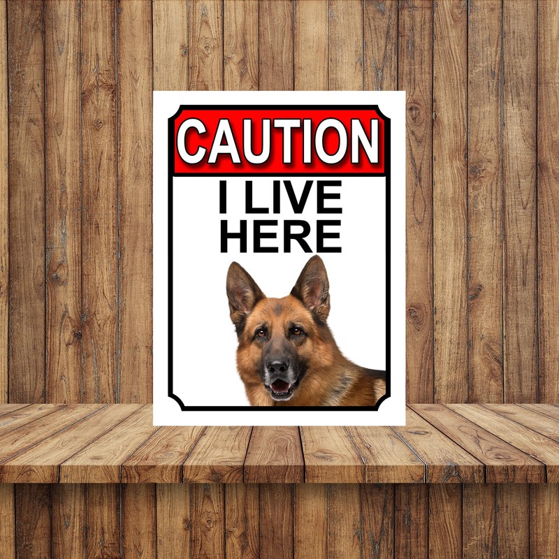 CAUTION I LIVE HERE METAL GATE SIGN GERMAN SHEPHERD THEME