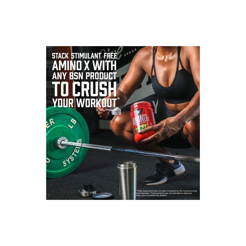 Suplemento en polvo BSN Endurance and Recovery Aminoácidos sabor ponche