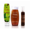 GOOSE Kit Anticaída Botánico – Shampoo + Gel Capilar +