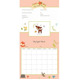 My Life as a Baby: A First-Year Calendar (Woodland Friends)