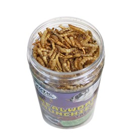 Mealworm Munchies (3.8 oz.) - All Natural Healthy High Protein Insect Treat - Chickens, Birds, Hedgehogs, Bluebirds, Reptiles, Sugar Gliders, Opossums, Skunks, Lizards, Fish, Turtles, Amphibians