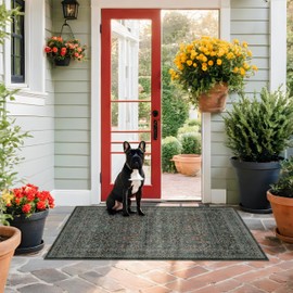 Vintage Floral 3x5 Area Rugs for Entryway, Bedroom Beside Rug, Kitchen, Laundry Room, Non-Slip Low Pile Ultra Soft Stain Resistant Small Carpet