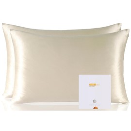 ZIMASILK 100% Pure Mulberry Silk Pillowcase 2 Pack, Soft and Smooth,Both Sides Premium Grade 6A Silk,600 Thread Count,with Hidden Zipper (Queen 20''x30'',Beige)