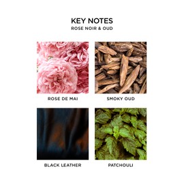 NEST New York Wall Diffuser Refill Vials, Rose Noir & Oud - Set of 2 - Up to 60 Days of Continuous Scent - Cruelty Free, Vegan - Made in USA