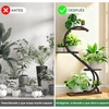 FURRIFIC Soporte para Plantas con Luz de Crecimiento 4Niveles en