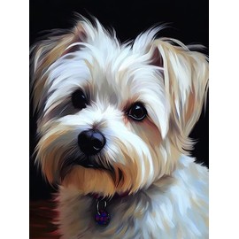 Bimkole DIY 5D Diamond Painting Kits Accessories White Dog Animal Diamond Painting Kit Full Round Drill Painting by Numbers Painting Embroidery Cross Stitch Diamond Decoration 30 x 40 cm