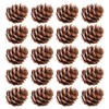 100PCS Christmas Pine Cones Natural Pine Cones 2-3cm Rustic Pine