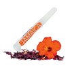 Karol Cosmetics Labial De Jamaica Cosmetico Vegetal