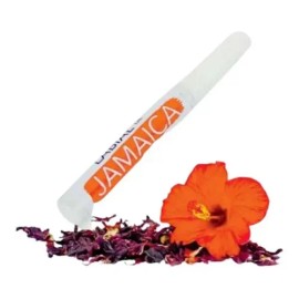 Karol Cosmetics Labial De Jamaica Cosmetico Vegetal                                                                                                   