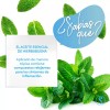 Sheló Nabel Aceite Esencial Hierbabuena Tópico O Humificador Sheló Nabel