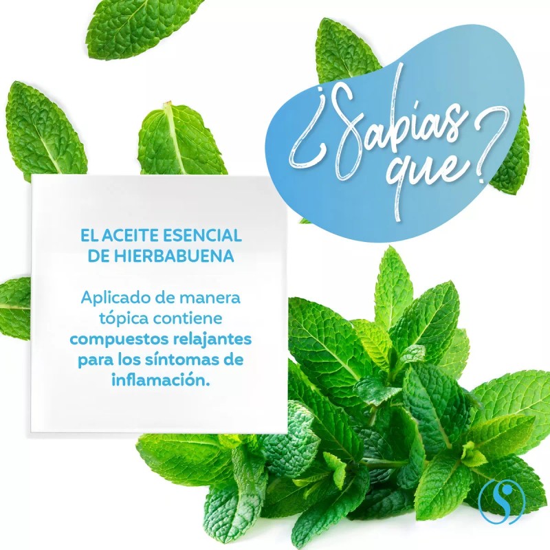 Sheló Nabel Aceite Esencial Hierbabuena Tópico O Humificador Sheló Nabel