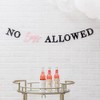 Weddingstar Paper Bachelorette Party Banner - No Boys Allowed