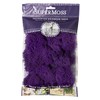 Super Moss (25124 Reindeer Moss Preserved, Purple, 2oz