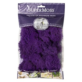 Super Moss (25124 Reindeer Moss Preserved, Purple, 2oz