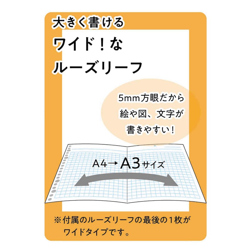 Maruman F584-98 Loose Leaf Binder, A4, Session, 30 Holes, Clear