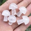 Ladeukoi 5Pcs Mini Mushroom Shaped Gemstone Statue Figurine, Carved Crystal