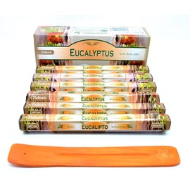 Incense Sticks (Eucalyptus) Eucalyptus Bubblegum Incense Sticks Joss 120 Incense Sticks for Home Use Joss Sticks with Ashtray