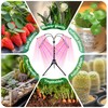 LED Grow Lights for Indoor Plants Full Spectrum with 15-63
