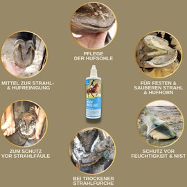EMMA Jet Care for Horses I Radiation Protection I Hoof Care for Horses I Beam Gel Prevents Jet Rot Horse I Means for Protection Hooves Hoof Sole Jet Horn Hoof Jet I Protection Against Moisture 2 x 100
