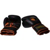 FightersJuice Training Gloves (12oz)