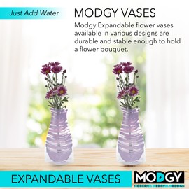 MODGY Expandable Flower Vase, Plastic Decorative Modern Foldable Printed Vases for Centerpieces for Wedding, Dining Table, Home Decor, Living Room, Bathroom, Office, Bandido Purple, 2 Pack