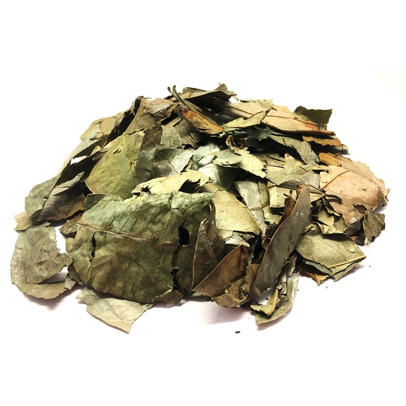 Soursop Leaves Hojas de Guanabana Herbal Tea Value Pack (105g)