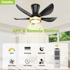 DAMINY 30 Inch Black and Gold 5 Blade Ceiling Fan
