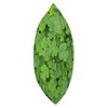 St. Patricks Day Gifts for Botanists with Clover Green Clover