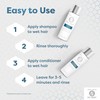 Go Gray Treatment System (Fade), Clarifying Duo Shampoo & Conditioner