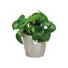 elho B.for Rock 14 - Flower Pot for Indoor -