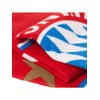 FC Bayern München Picnic Blanket Approx. 120 x 150 cm