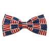 EmilyRose Couture Patriotic Hair Bow Collection (Alligator Clip, American Flags)