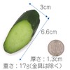 Coconut Accessories 361K Food Sample Key Chain, Cucumber Slice, green,