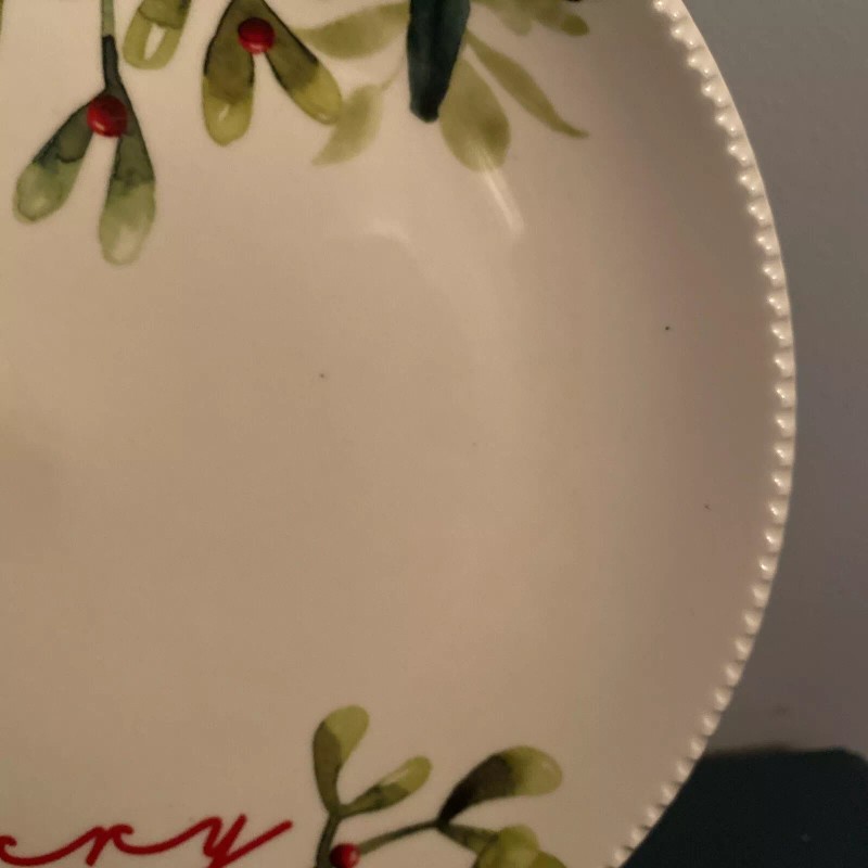 Bird Better Homes and Gardens Holiday 9” Salad Plate “Merry”