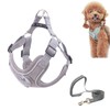 SKXEO Small Dog No Pull Harness & Lead Set -