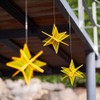 Cazador-del-sol ® - The Original | Estrella | 3D |