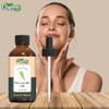 Organic Zing Pine Needle Essential Oil Pure & Natural for