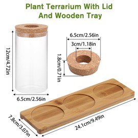 Fentar Propagation Station, Plant Terrarium Jar with Wooden Base and Plug, Stylish Clear Propagation Vase, Elegant Plant Propagation Station for Hydroponic Plants Flower Cuttings Home Desk Decor