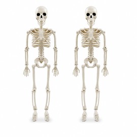 2 Pcs Posable Halloween Skeleton for Spooky Decorating – 15.7-Inch Plastic Skeleton Prop for Home, Porch, Yard & Party Décor
